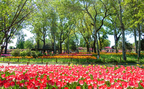 Our Work - Quantum Broad International Ltd